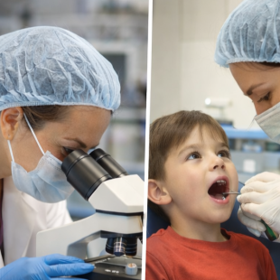 proyecto de investigación odonto