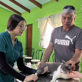 slider el tambo slider el tambo