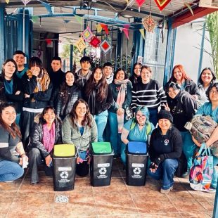 ProyectoMedioAmbiente_050826